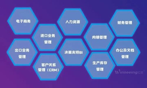 匯信軟件榮獲殊榮 入選山東省優(yōu)秀軟件企業(yè)，標(biāo)志性產(chǎn)品與服務(wù)雙豐收